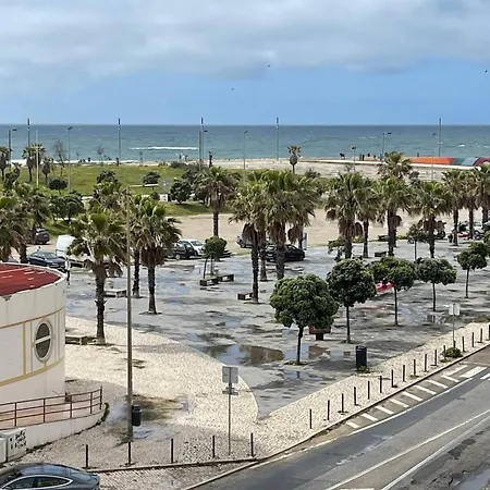 Enjoy Ocean Life At Costa Da Caparica!